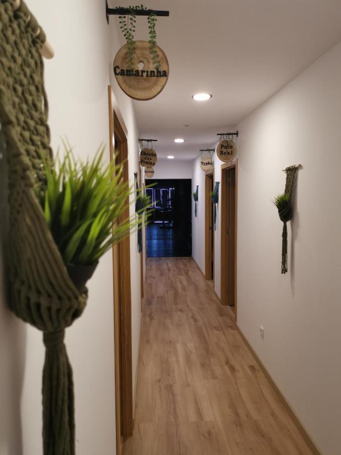 Poco da Cruz Atlantic Nature Beach House المظهر الخارجي الصورة